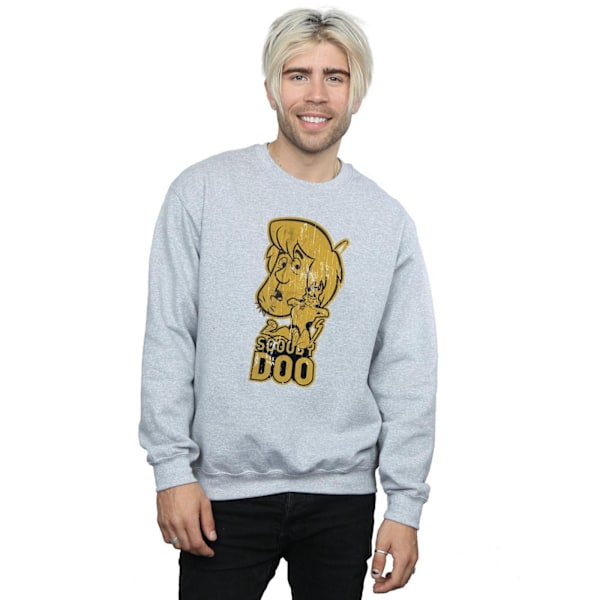 Scooby Doo Herr Och Shaggy Sweatshirt L Sports Grey Sports Grey L
