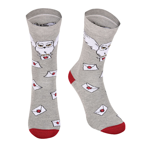 Harry Potter Unisex Vuxen Hedwig Hogwarts Brevstrumpor L-XL Grå Grey/Maroon/White L-XL