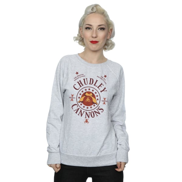 Harry Potter Womens/Ladies Chudley Cannons Logo Sweatshirt XXL Heather Grey XXL