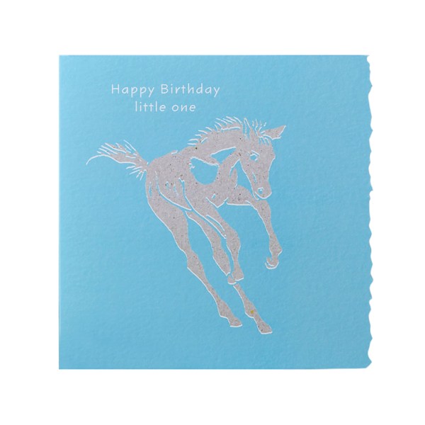 Deckled Edge Colour Block Pony Gratulationskort En Storlek Happy Bi Happy Birthday Little One - Foal (L One Size
