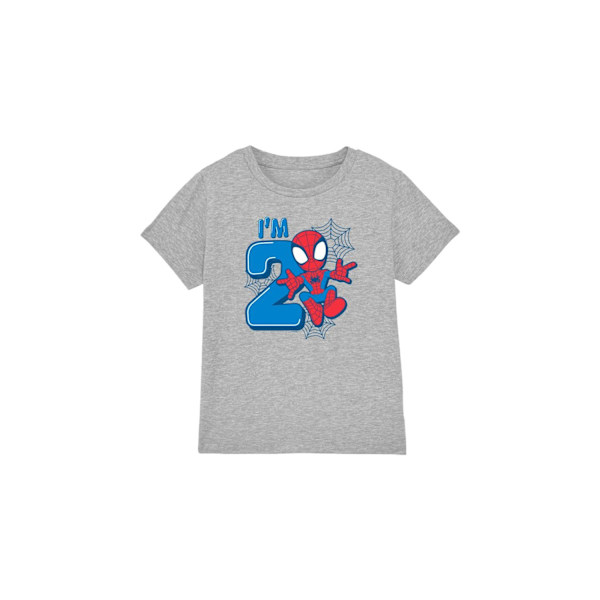 Spider-Man Barn/Kids Söt Spidey 2-årsdag T-Shirt 5-6 Sport Heather 5-6 Years