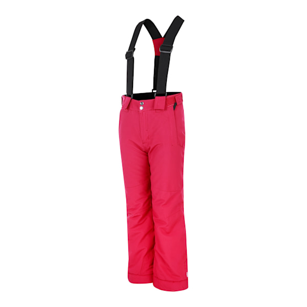 Dare 2B Barn/Ungdom Outmove II Skidbyxor 15-16 År Berr Berry Pink 15-16 Years