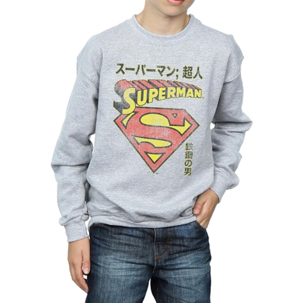 DC Comics Boys Superman Shield Sweatshirt 7-8 år Sports Grey Sports Grey 7-8 Years