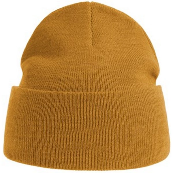 Atlantis Unisex Vuxen Ren Beanie i Ren Återvunnet Material En Storlek Senapsgul Mustard Yellow One Size