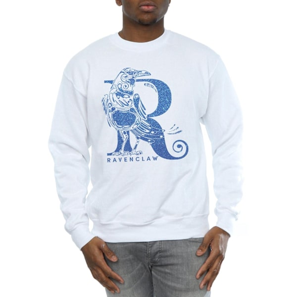 Harry Potter Herr Ravenclaw Glitter Sweatshirt M Vit White M