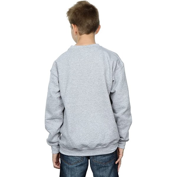 The Muppets Boys Classic Animal Sweatshirt 9-11 år Sports Grå Sports Grey 9-11 Years