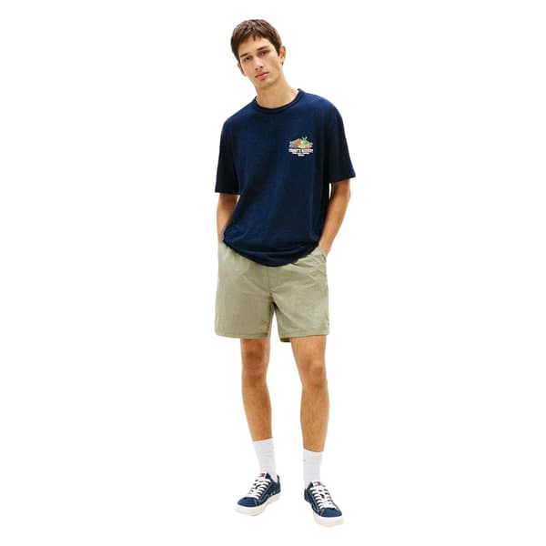 Tommy Jeans Herr Fruit Regular T-Shirt M Mörkblå Dark Navy M