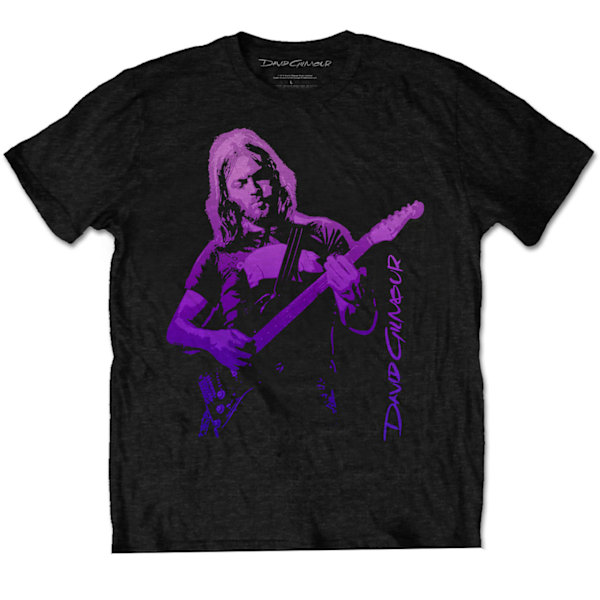 David Gilmour Unisex Vuxen Pig Gradient Bomull T-shirt M Svart Black M