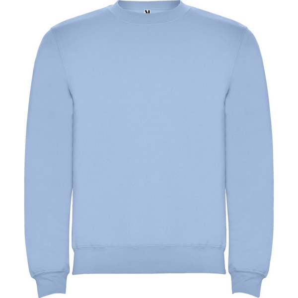 Roly Unisex Adult Clasica Crew Neck Sweatshirt L Sky Blue Sky Blue L