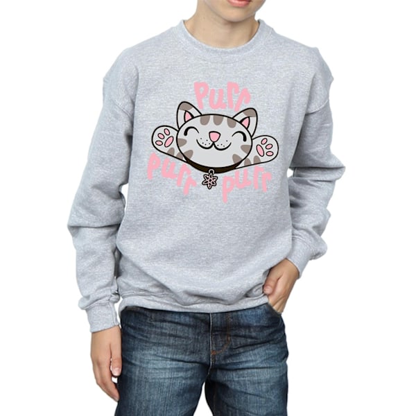 Big Bang Theory Boys Soft Kitty Purr Sweatshirt 12-13 År Spo Sports Grey 12-13 Years