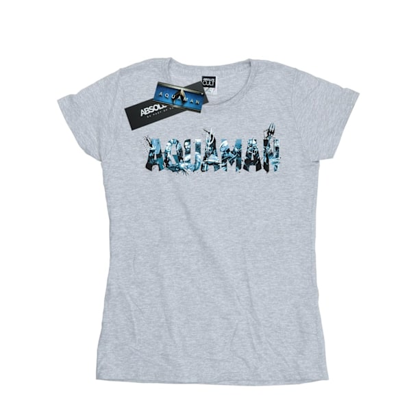 DC Comics Dam/Kvinnor Aquaman Text Logo Bomull T-shirt L Spor Sports Grey L