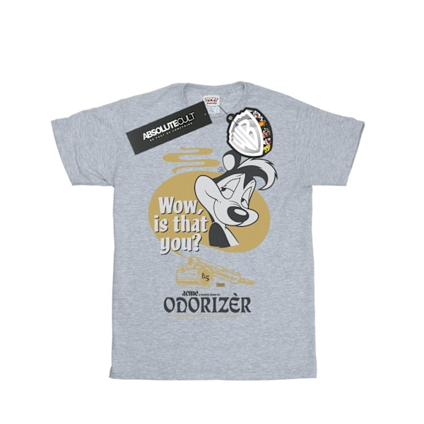 Looney Tunes Dam/Damer Pepe Le Pew Odorizer Bomull Pojkvän Sports Grey M