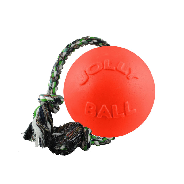 Jolly Pets Romp-N-Roll Dog Ball 4.5in Orange Orange 4.5in