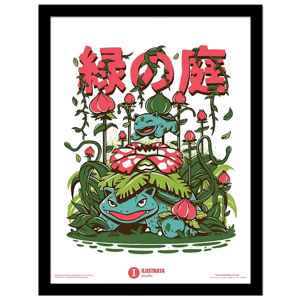 Ilustrata Secret Garden inramad poster 40cm x 30cm Flerfärgad Multicoloured 40cm x 30cm