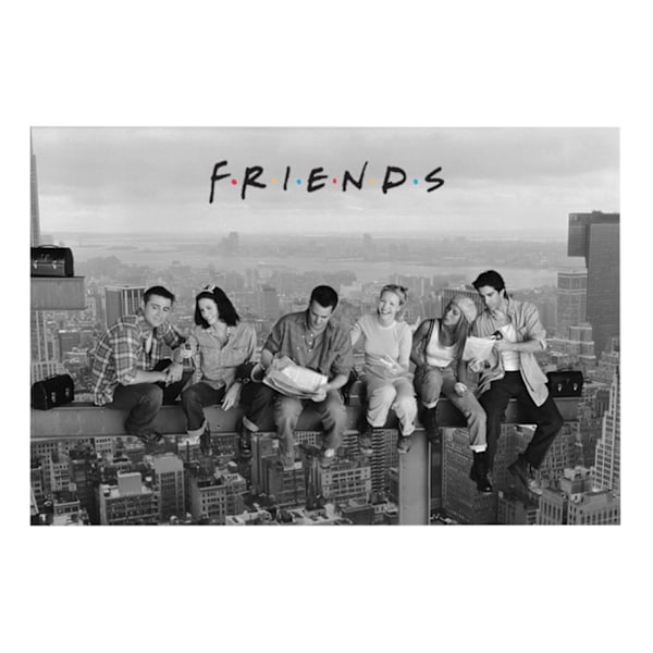 Friends Skyscraper Poster One Size Grey Grey One Size