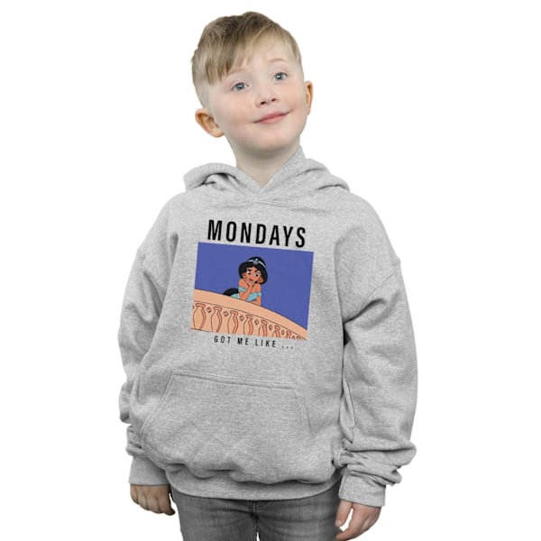 Disney Princess Boys Jasmine Mondays Got Me Like Hoodie 12-13 Y Sports Grey 12-13 Years