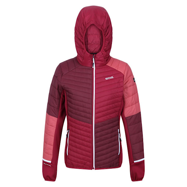 Regatta Dam/Kvinnor Trutton II Baffled Hooded Jacka 14 UK Bu Burgundy/Rumba Red 14 UK