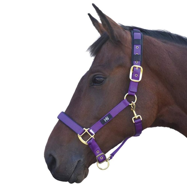 Hy Deluxe vadderad huvudkrage ponny lila Purple Pony