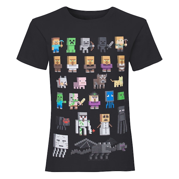 Minecraft Girls Sprites T-shirt 11-12 år Svart/Flerfärgad Black/Multicoloured 11-12 Years