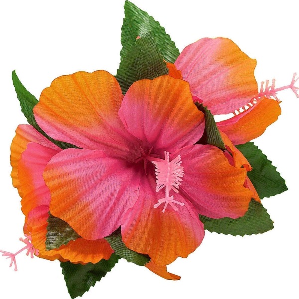 Amscan Hawaiian Hibiscus Tyg Hårklämma One Size Orange/Grön Orange/Green/Pink One Size