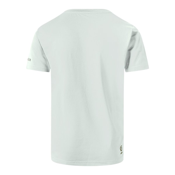 Dare 2B Pojkar Amuse II Velociraptor T-Shirt 14 År Aqua Grå Aqua Grey 14 Years
