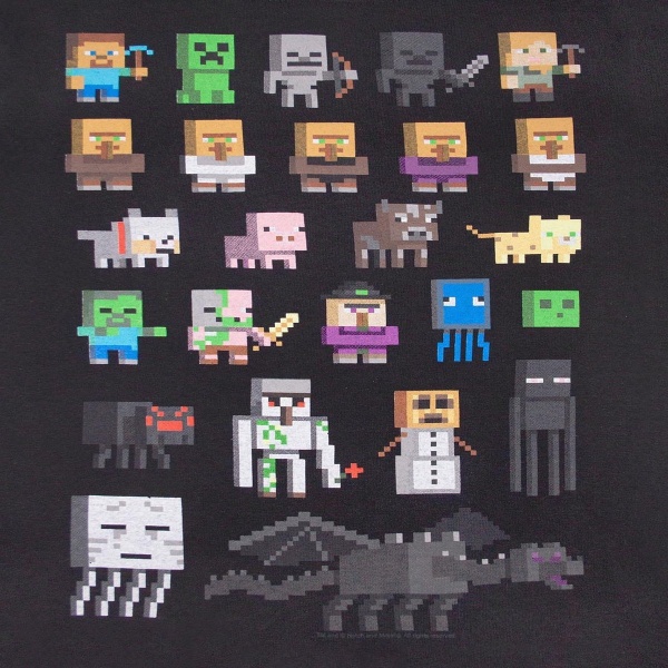 Minecraft Girls Sprites T-shirt 11-12 år Svart/Mångfärgad Black/Multicoloured 11-12 Years