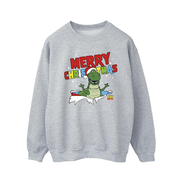 Disney Mens Toy Story Rex Christmas Burst Sweatshirt 3XL Sports Sports Grey 3XL