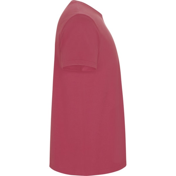 Roly Barn/Barn Stafford Kortärmad T-shirt 5-6 År Krysantemum Röd Chrysanthemum Red 5-6 Years