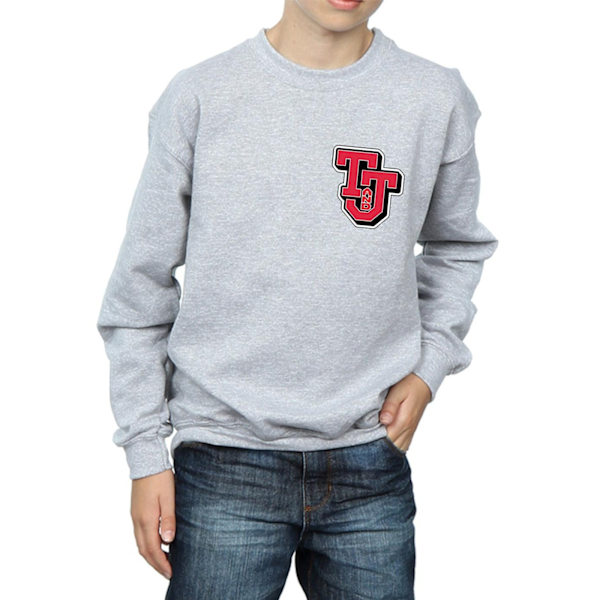 Tom And Jerry Boys Collegiate Logo Sweatshirt 9-11 År Sport Sports Grey 9-11 Years