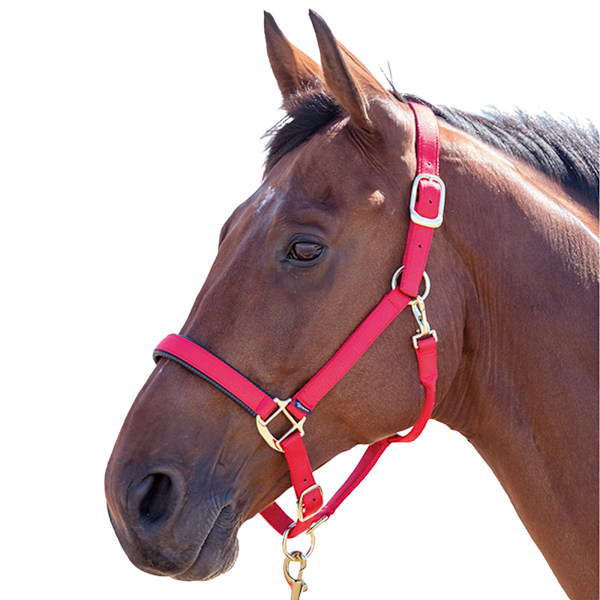 Shires Topaz Nylon Hästgrimma X Small Pony Röd Red X Small Pony