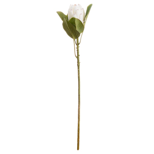 Hill Interiors Konstgjord stängd Protea blomma One Size Vit White One Size