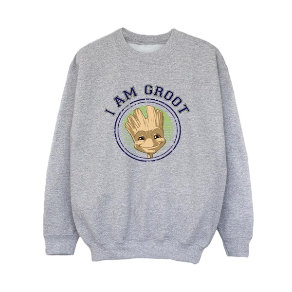 Guardians Of The Galaxy Boys Groot Varsity Sweatshirt 3-4 år Sports Grey 3-4 Years