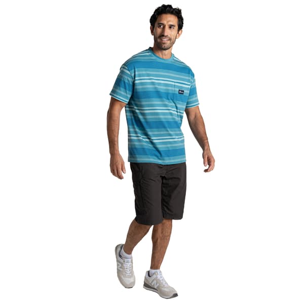 Craghoppers Herr Pointer Randig Kortärmad T-shirt M Tranquil Tranquil Blue M