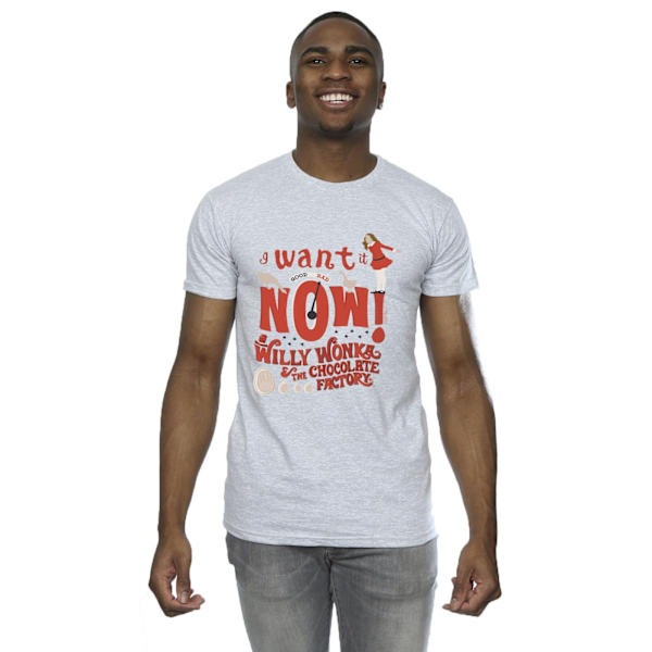 Willy Wonka Herr Verruca Salt Jag Vill Ha Den Nu T-Shirt L Sports Grå Sports Grey L