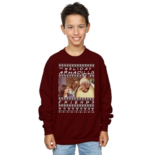 Friends Boys Fair Isle Holiday Armadillo Sweatshirt 12-13 år Burgundy 12-13 Years