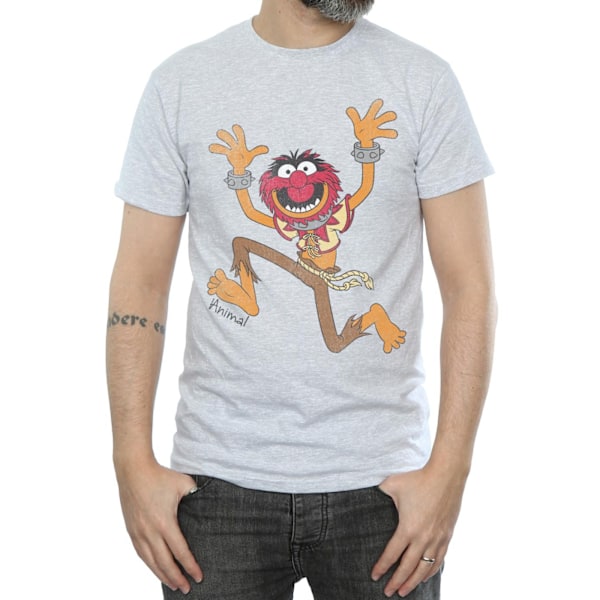 The Muppets Mens Classic Animal Heather T-Shirt 3XL Heather Gre Heather Grey 3XL