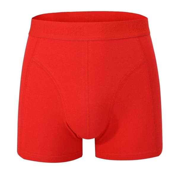 Lee Cooper Boxershorts för män (10-pack) L Brights Brights L