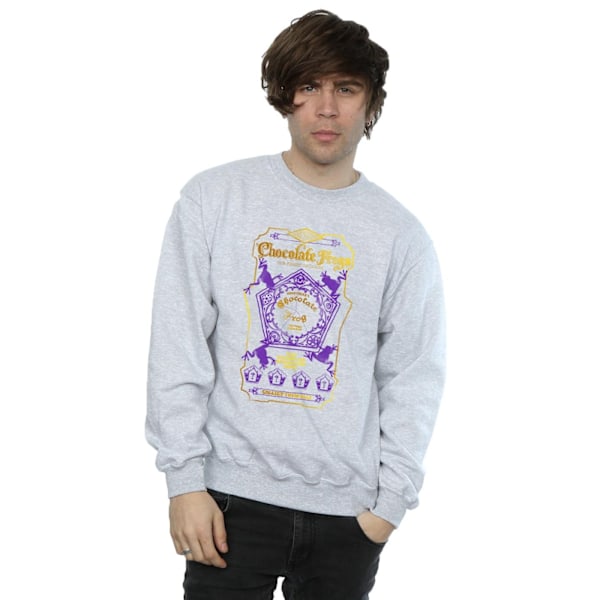 Harry Potter Mens Chocolate Frogs Färgad Etikett Sweatshirt L S Sports Grey L