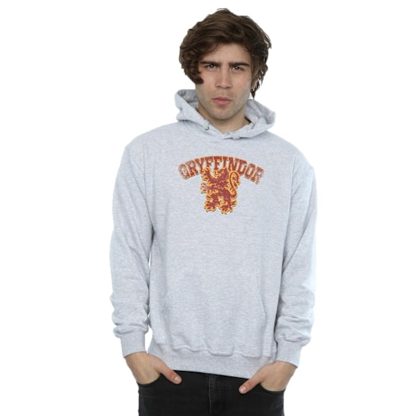 Harry Potter Herr Gryffindor Sport Emblem Hoodie S Sports Grey Sports Grey S