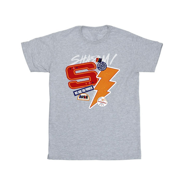 DC Comics Girls Shazam Fury Of The Gods Sticker Spam Bomull T-S Sports Grey 3-4 Years