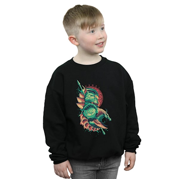 DC Comics Boys Aquaman Xebel Crest Sweatshirt 7-8 år Svart Black 7-8 Years