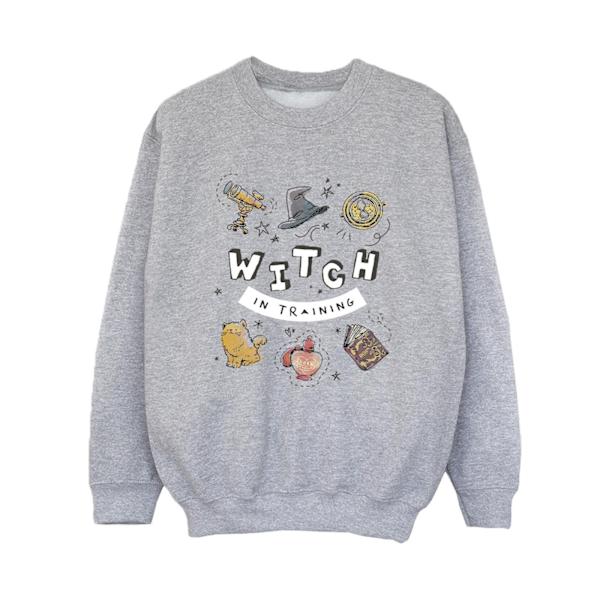 Harry Potter Boys Witch In Training Sweatshirt 5-6 år Sport Sports Grey 5-6 Years