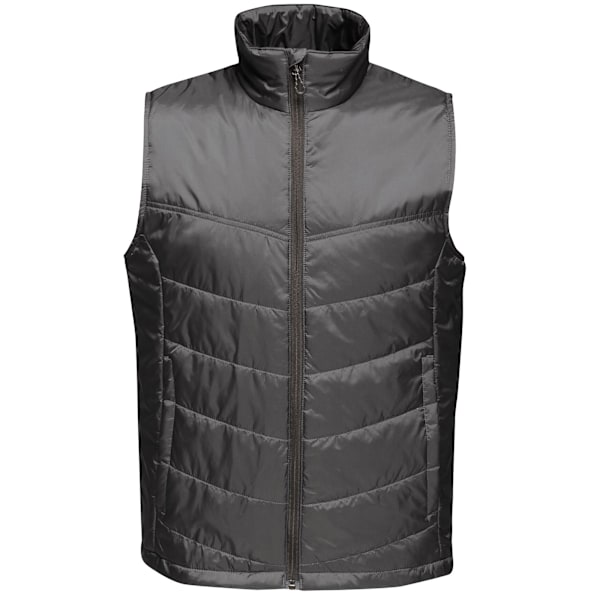 Regatta Professional Vadderad Väst för Män 4XL Svart Black 4XL