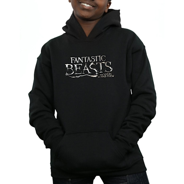 Fantastic Beasts Boys Text Logo Hoodie 5-6 år Svart Black 5-6 Years