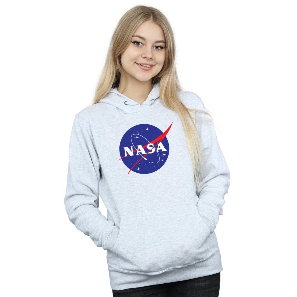 NASA Dam/Dam Insignia Hoodie M Heather Grey Heather Grey M