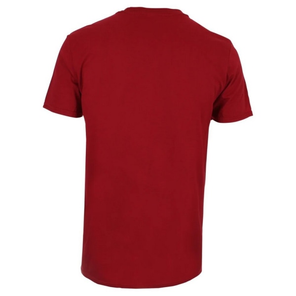 The Flash Mens Logo T-Shirt XL Cardinal Red Cardinal Red XL