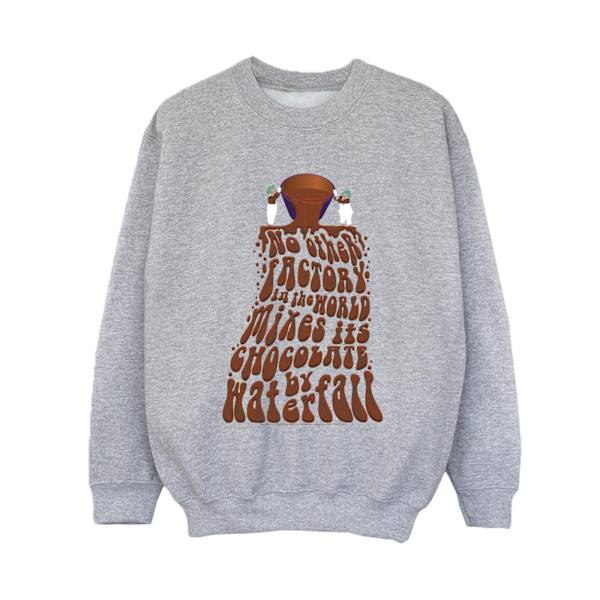 Willy Wonka Boys Chocolate Waterfall Sweatshirt 9-11 år Spor Sports Grey 9-11 Years