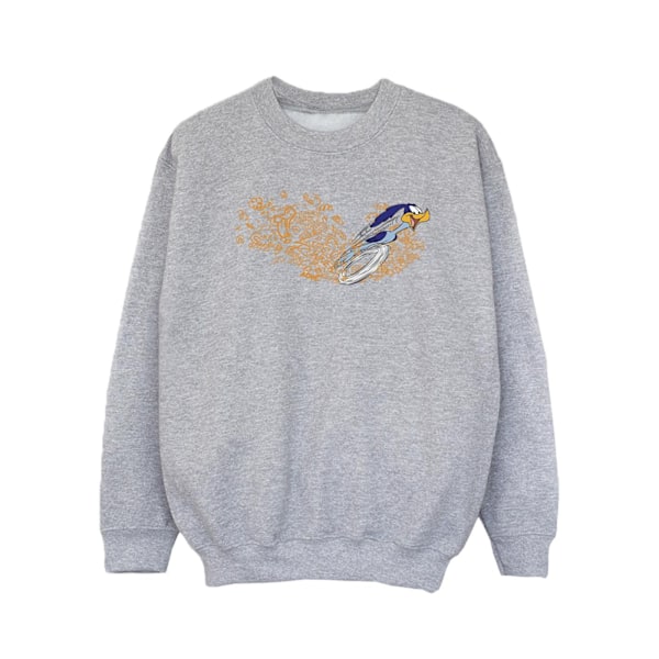 Looney Tunes Girls ACME Doodles Road Runner Sweatshirt 3-4 år Sports Grey 3-4 Years