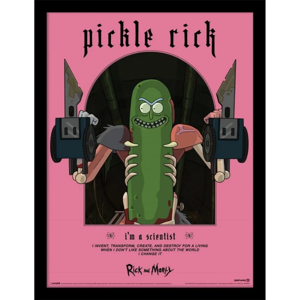 Rick And Morty Classrickal Pickle Rick Print 40cm x 30cm Rosa/G Pink/Green/Black 40cm x 30cm