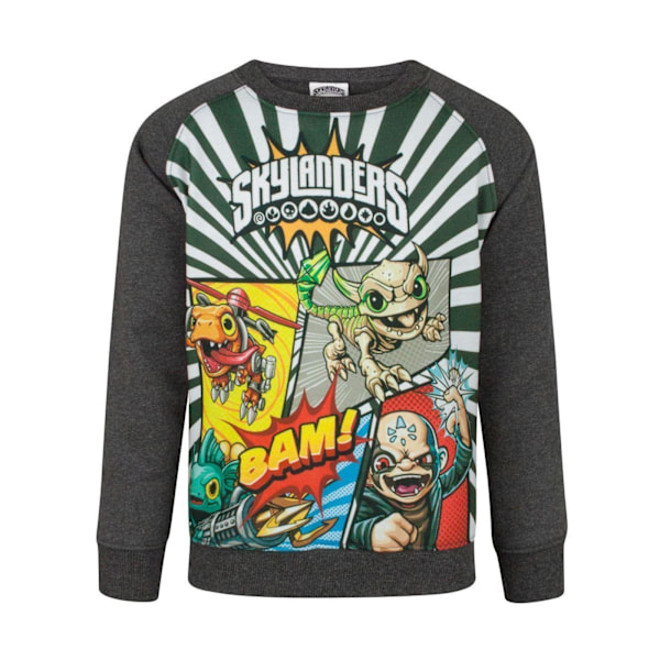 Skylanders Boys Panel Sweatshirt 3-4 år Grå Grey 3-4 Years